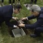 Placing urn